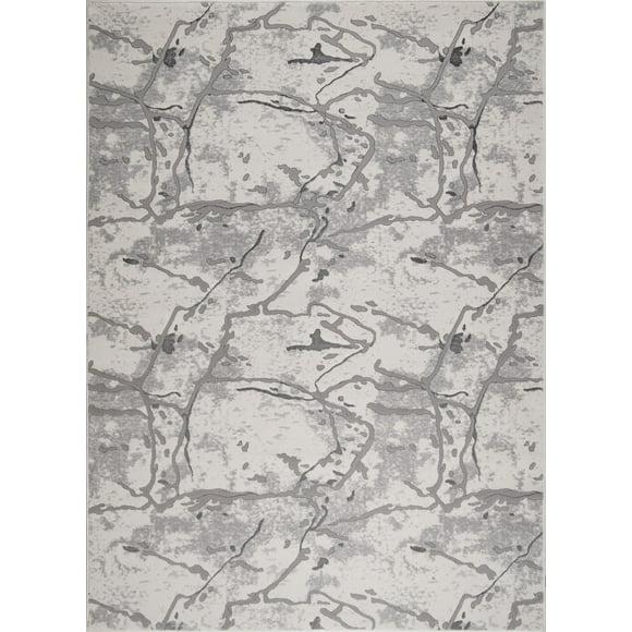 LaDole Rugs Tapis Rustique Ivoire Gris 2x5 3x10 4x5 6x8 7x10 8x11 9x12 Pieds Taille