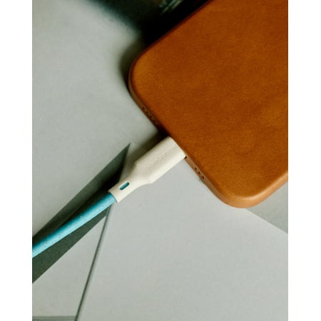 Bluebonnet - 4' USB-C to Lightning Charging Cable - Blue