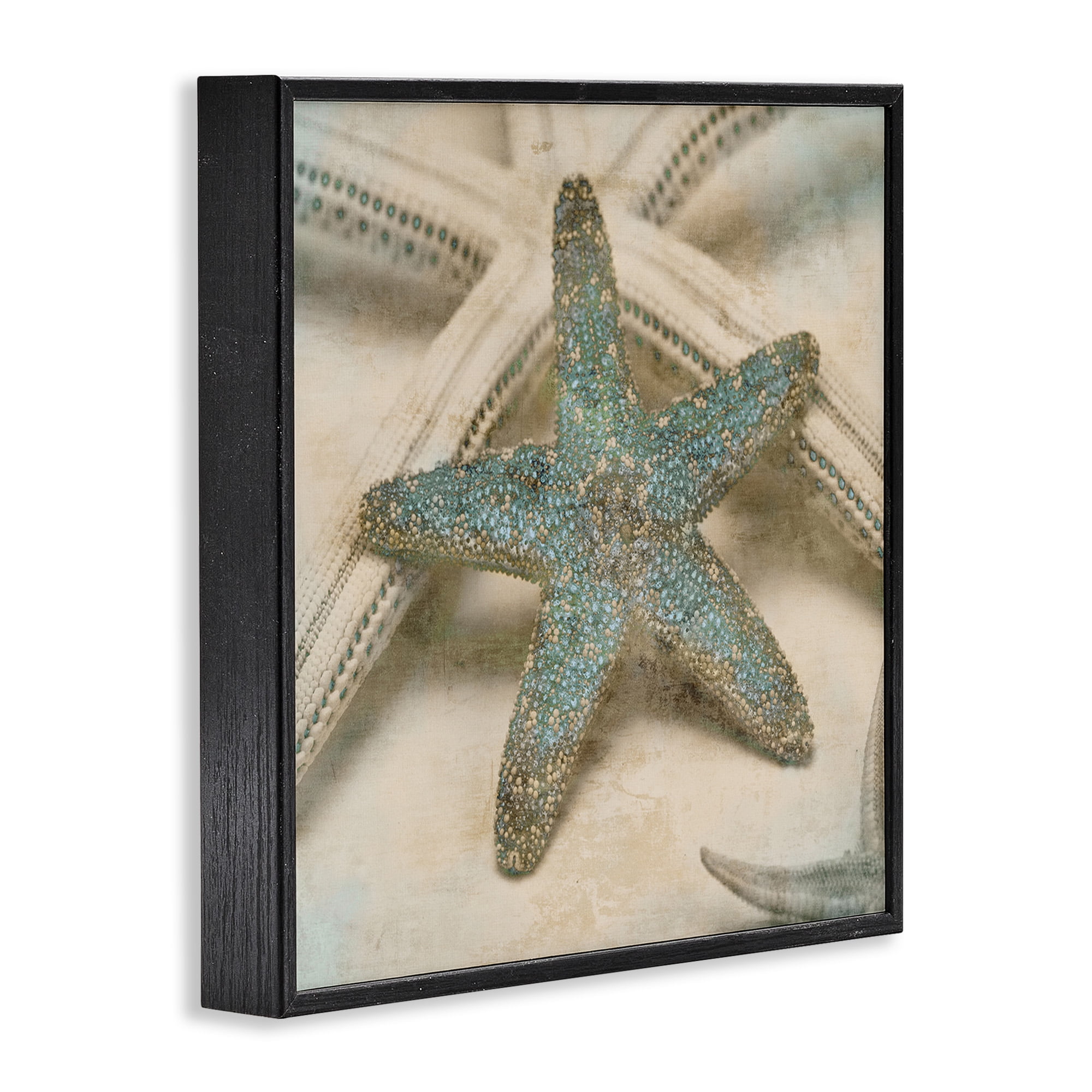 Stupell Industries Distressed Texture Starfish Nature Photography Black Framed Art Print Wall Art, 17 x 17