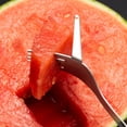 thumbnail image 4 of Linnome 304 Stainless Steel Watermelon Fork Multi Purpose Fruit Fork, Portable Tableware for Cutting and Eating, 4 of 9