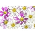 thumbnail image 3 of Disher, Mandy 14x11 Black Modern Framed Museum Art Print Titled - Keeping Summer, 3 of 5
