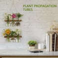 thumbnail image 1 of JTWEEN Plant Estación de Propagación Macetero de Vidrio para Colgar en la Pared Plant Terrarium con 6 Jarrones con Bombillas y Soporte de Madera para Propagar Plantas Hidropónicas, Decoración de Oficina en el Hogar, 1 of 9
