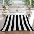 thumbnail image 5 of Black and White Striped Pattern Throw Blankets, Minimalist Soft Fleece Blanket Decorative for Home Sofa Couch Chair Living Bedroom, 32x48 Inches,, 5 of 8