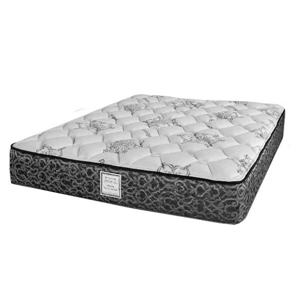 Aurora Bio Gel Queen Foam Mattress