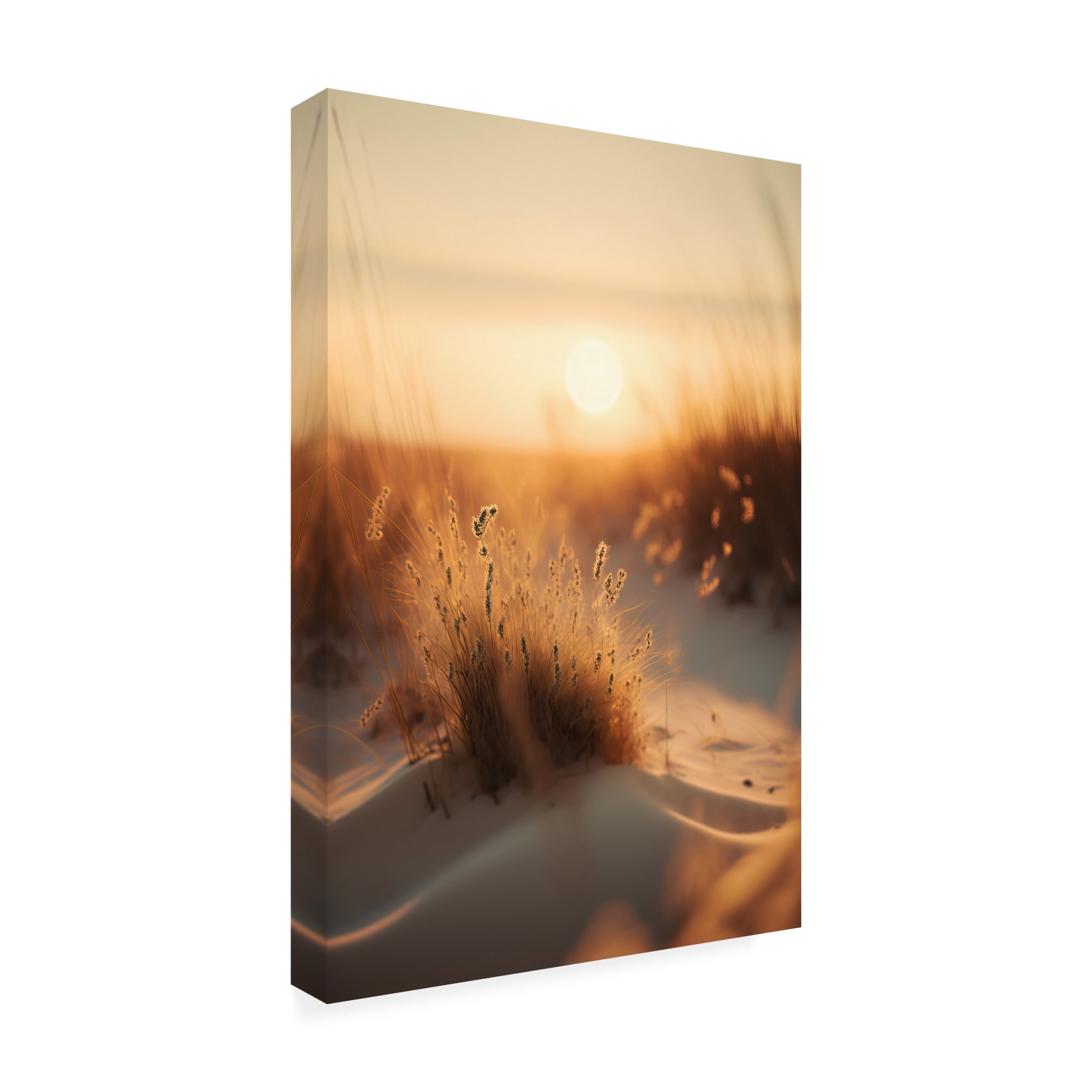 Canvas Wall Art - Treechild 'Sunset At The Beach' Wall Art for Living Room, Bedroom, or Office D?cor by Trademark Fine Art - 30 x 47 Inches