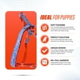thumbnail image 7 of Dog Harness, no Pull Dog Harness Step in Dog Harness Easy Walk Harness Dog Harness for Puppies Puppy Harness Black XS Pet safe Easy Walk Extra Small Dog Harness (Orange with Sky Blue), 7 of 7