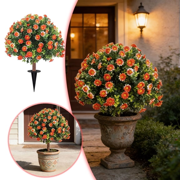 Outdoor Garden Courtyard Door Potted Chrysanthemum Flowers for All Seasons