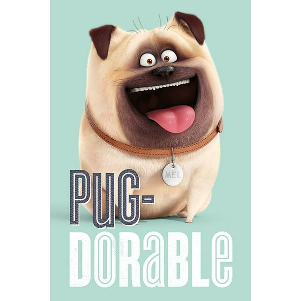 Get The Secret Life Of Pets Movie Poster Print Mel Pug Dorable Desktop Wallpaper Free Get Wallpaper The Secret Life Of Pets Movie Poster Print Mel Pug Dorable HD