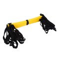 thumbnail image 2 of Foldable Practical Agility Ladder, Portable Durable Training Ladder Agility, for Boost Quickness Foot Speed, 2 of 7