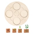 thumbnail image 4 of Ayudas didácticas de madera del tablero del para las Planta perfke Tablero de ciclo de vida, 4 of 8