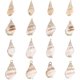 thumbnail image 1 of 1 caja de 16 piezas de 4 estilos de conchas marinas en espiral con diseño de océano y playa, colgantes artesanales con forma de concha y abalorios chapados en oro., 1 of 9