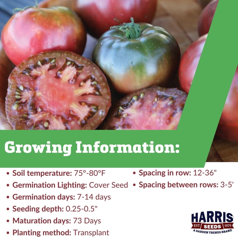 Harris Seeds Tomato Medusa ,Organic Variety, Non-GMO, Indeterminate, 50 Count