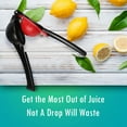 thumbnail image 5 of FrostHike Citrus Handheld Lemon Juicer. Citrus Manual Juicer Squeezer for Lemon.Orange.Grapefruit - Dishwasher Safe, 5 of 5