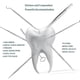thumbnail image 2 of Kit de higiene dental de 5 piezas para la limpieza de los dientes y el cuidado bucal, 2 of 5