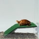 thumbnail image 5 of Plataforma de descanso para tortugas de Bargains Únicos Césped de simulación Decoración de muelle de descanso para tortugas Rampa natural para hábitat de tortugas Verde, 5 of 7