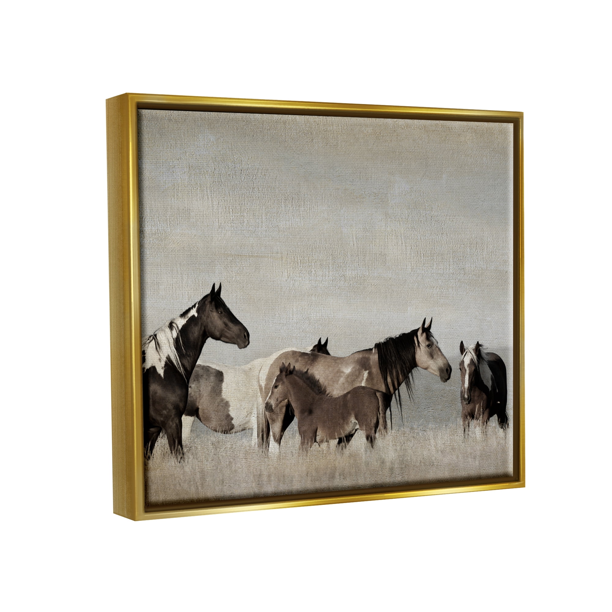 Stupell Industries Horse Herd with Foal Animals & Insects Photography Gold Floater Framed Canvas Art Print Wall Art, 31 x 25