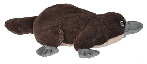 platypus teddy bear