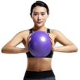 thumbnail image 1 of Mini pelota de Yoga Pilates de 9 pulgadas para ejercicios de estabilidad, entrenamiento, gimnasio, pelotas antideslizantes y antideslizantes con pajita inflable Namotu CZYD-ZC91-3, 1 of 1