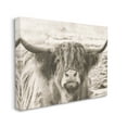 thumbnail image 3 of Stupell Industries Highland Cattle Cow Gazing Photography Photograph Gallery Wrapped Canvas Print Wall Art, Design by Nathan Larson, 3 of 7