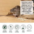 thumbnail image 4 of 2X Mouse Repellent Peppermint Oil Spray Plant-Based Formula Rodent Repellent 60ml -, 4 of 5