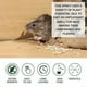 thumbnail image 4 of 1-3PCS Oil Mice Or Rodent Repellent Spray 60ml Mouse Repellent Peppermint Oil Spray, 4 of 5