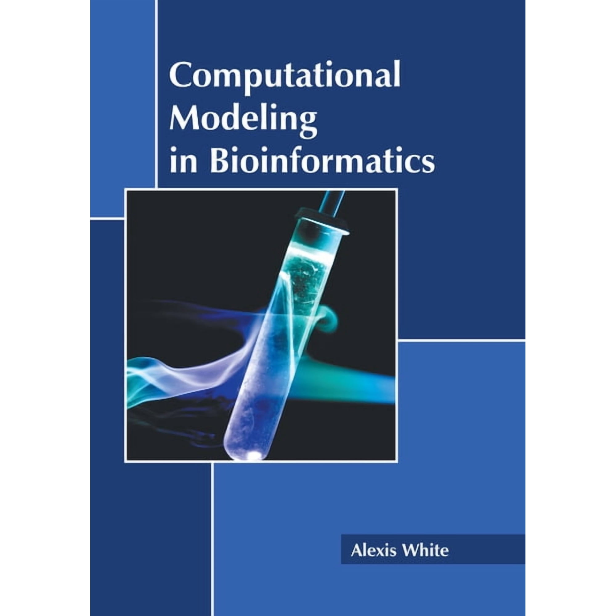Computational Modeling in Bioinformatics (Hardcover)