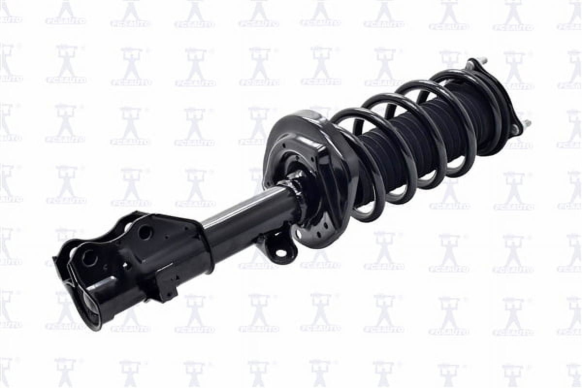 Suspension Strut and Coil Spring Assembly