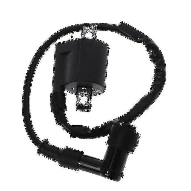 Bobina de encendido QUANZHOUTIANDI Para 50cc 150cc 200cc 250cc ATV Scooter motocicleta Quad Dirt Bike Negro 7,4 x 4,5 x 40 cm