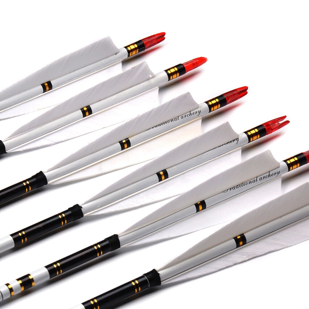 31 Flèches Carbone D&Q SP500 Avec Plumes Dinde - Chasse à L'arc Recurve Et Compound