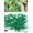 Green, variant on Allume 300 Pcs Garden Plant Support Tomato Clips Plant Clips Vegetables Tomato Vine Flower Clips Plant Locks for Securing Plants Green
