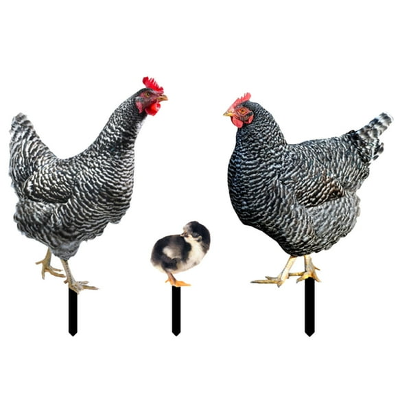 3 piezas ACRYLIC Hen Chick Yard Arts Arts Decorativo en forma de pollo Partido de la césped estacas de césped