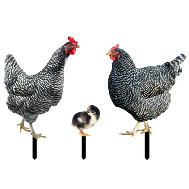 3 piezas ACRYLIC Hen Chick Yard Arts Arts Decorativo en forma de pollo Partido de la césped estacas de césped