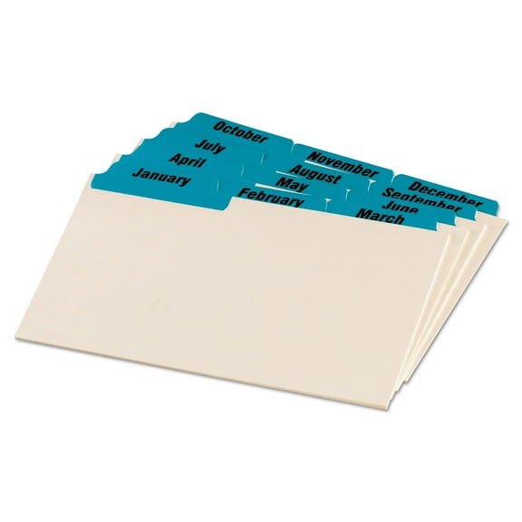 Oxford, OXF04613, Laminated Tab Index Card Guides, 12 / Set