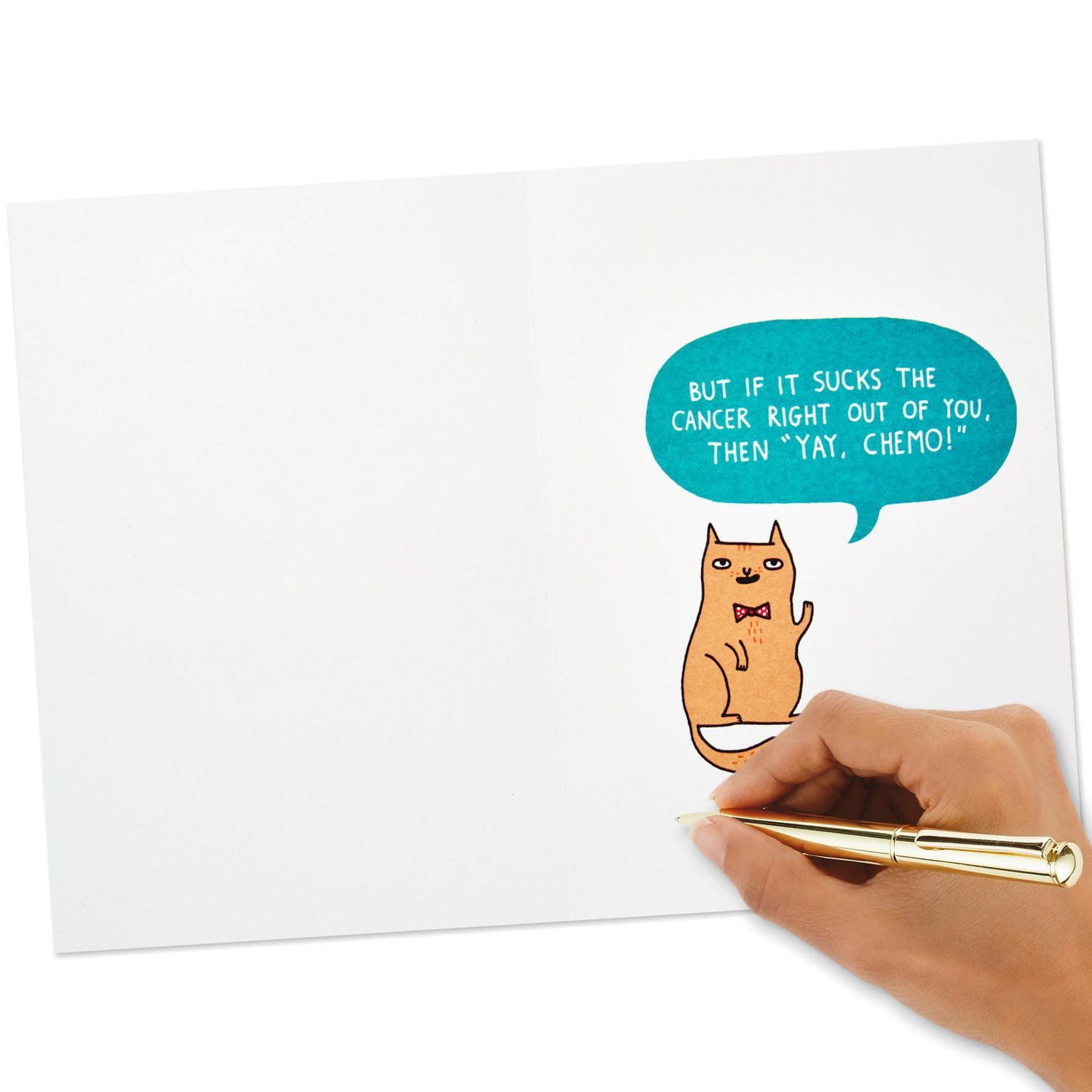 Assortiment de cartes de soutien – Maladies et cancer – Shoebox de Hallmark (6 cartes et enveloppes)