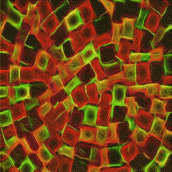 Ahgly Company Machine Washable Indoor Square Transitional Dark Yellow Green Area Rugs, 5' Square