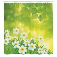 thumbnail image 3 of Ambesonne Floral Shower Curtain, Daffodils Spring Petals, 69"Wx70"L, Green Yellow, 3 of 5