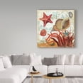 thumbnail image 3 of Trademark Fine Art 'Shell Collector Ocean' Canvas Art by Art Licensing Studio, 3 of 3