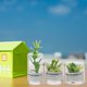 thumbnail image 5 of piezas de adornos para decoración del hogar, casa de muñecas, plantas artificiales en macetas, pequeñas cosas, juguete, muebles en miniatura para niños, 5 of 6