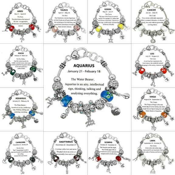 Falari Zodiac Charm Bracelet Multi-Color Slide Metal Murano Beads Silvertone Gift Box Included Aquarius Jan 21 - Feb 18