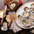 thumbnail image 3 of 10X Oyster Shucking Opener Shucker Seafood Clamp Tool Holder Shellfish Hand Clam Shellcrab Sheller, 3 of 8