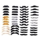 thumbnail image 3 of 48 Piezas de Bigote Falso Salvador Barba Falsa Disfraz de Halloween Suministros para Fiestas, 3 of 10