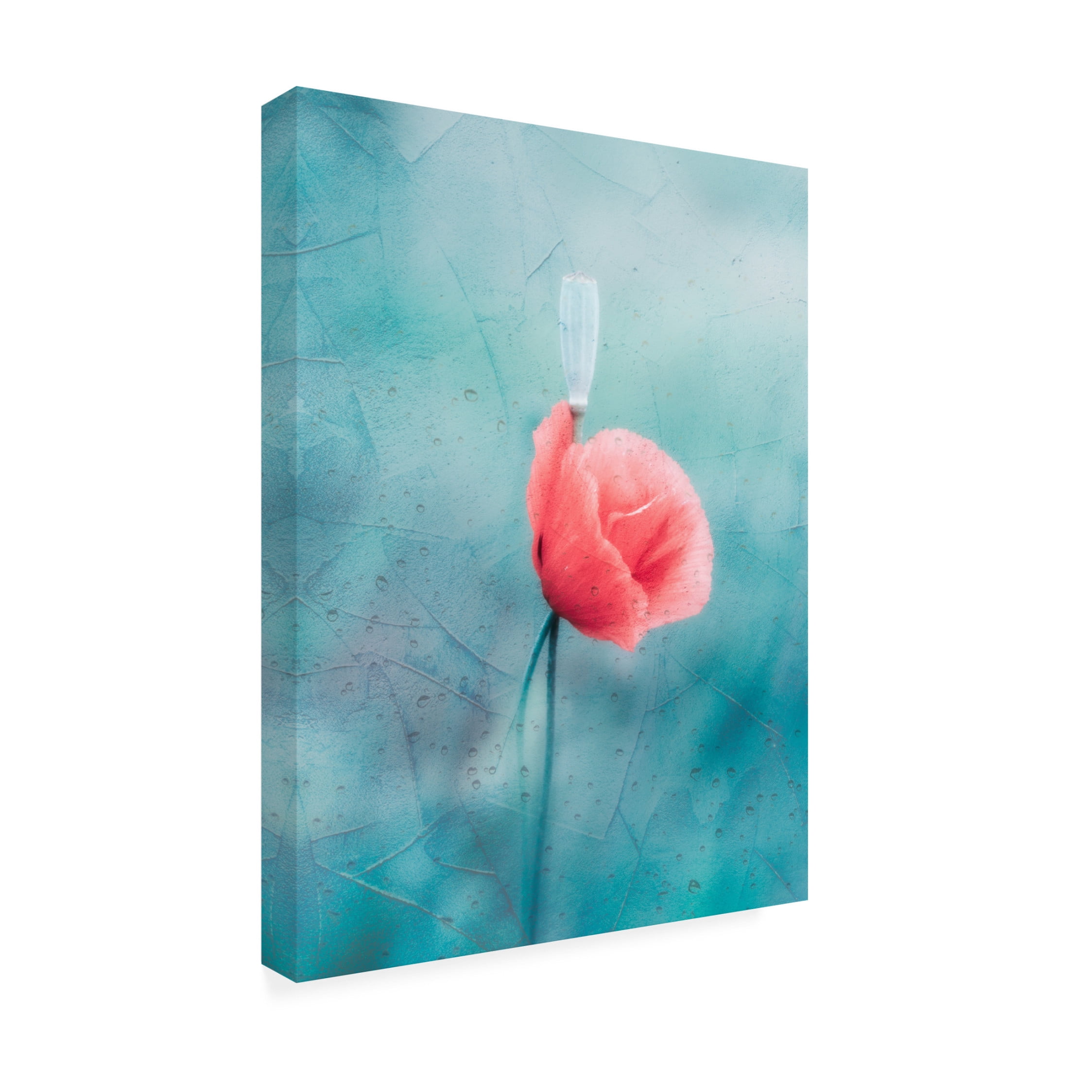 Trademark Fine Art Cristiano Giani Let's cool Canvas Wall Art
