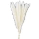 thumbnail image 3 of Ramo de flores secas BuyWeek de hierba de la pampa 30 piezas caña inmortal, 3 of 12