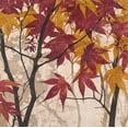 thumbnail image 2 of Pluch, Melissa  20x20 Gold Ornate Wood Framed with Double Matting Museum Art Print Titled - Maple Story 1, 2 of 4