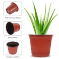 thumbnail image 4 of 50 Pcs Pots de Pépinière pour Plantes Succulentes avec Trous de Drainage, 4 of 9