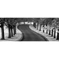 thumbnail image 3 of Frates, Dennis 24x12 Black Modern Framed Museum Art Print Titled - Maple Tree Lined Drive, 3 of 5