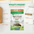 thumbnail image 5 of NaturVet Scoopables Digestive Enzymes, Cat Supplements, 45 Scoops, 5 of 8