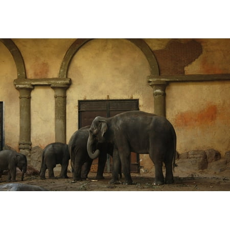 LAMINATED POSTER Hagenbeck Hamburg Zoo Elephant Hagen Beck Zoo Poster Print 24 x 36