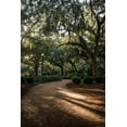thumbnail image 2 of Mossholder, Tim 13x18 Black Ornate Wood Framed with Double Matting Museum Art Print Titled - Oaks in Savannah, 2 of 4