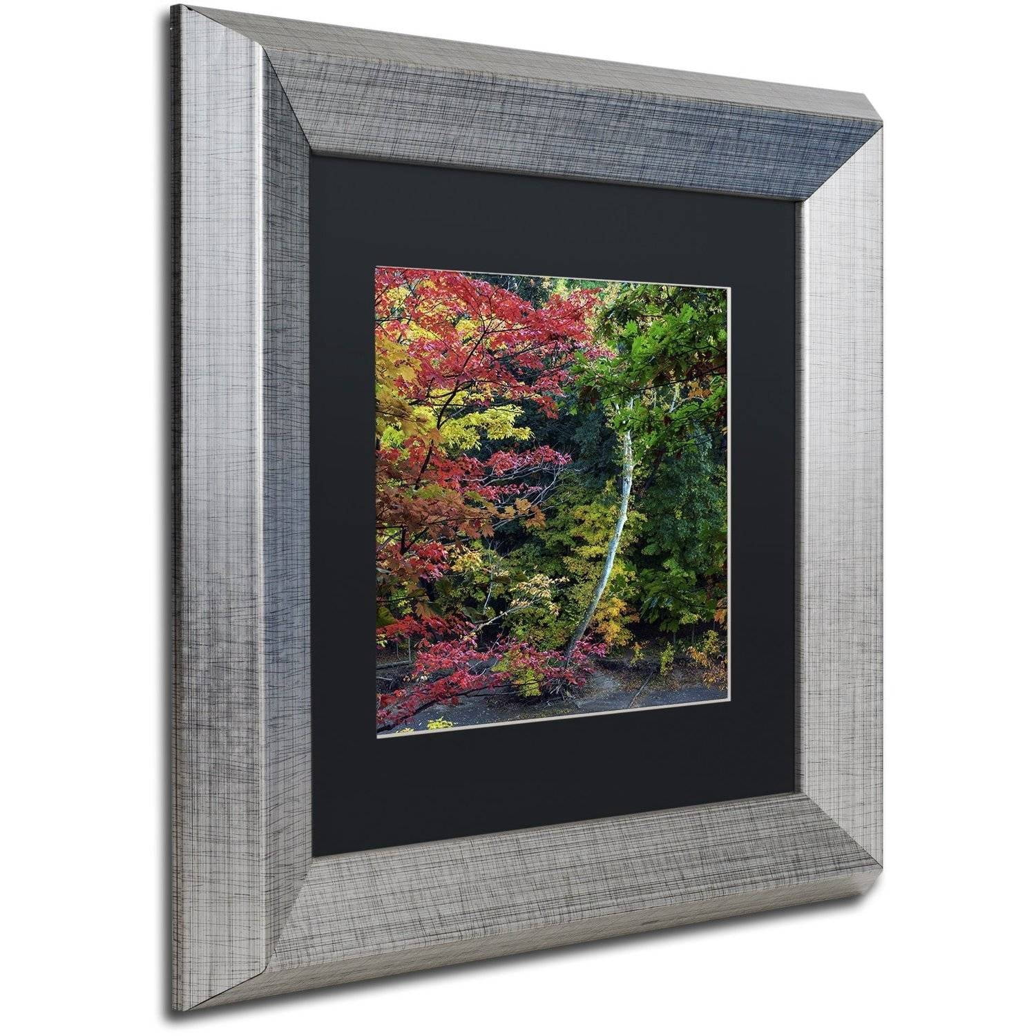 Trademark Fine Art "All the Colors of October in Ohio" Canvas Art by Kurt Shaffer, Black Matte, Silver Frame
